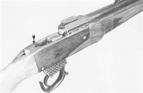 Sights Rifle Plans Bev Fitchetts Guns