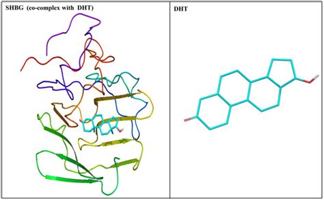 Crystal Structure Of Human Sex Hormone Binding Globulin Shbg In Download Scientific Diagram
