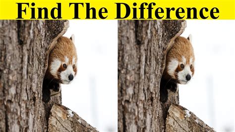 Find The Difference Only Geniuses Can Find All The Difference Tell