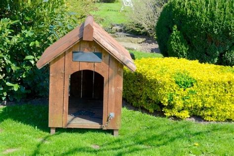 4 Consejos Para Construir Una Caseta De Perro En El Jardín Mis Animales