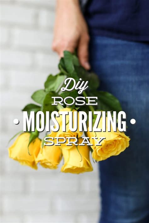 Diy Rose Moisturizing Spray Toner Or Skin Freshener Live Simply
