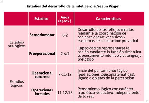 Etapas Del Desarrollo Cognitivo De Piaget Mind Map Mobile Legends Porn Sex Picture