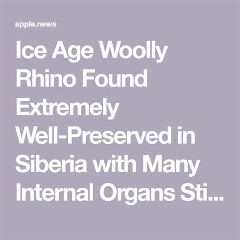 Ice Age Woolly Rhino Found Extremely Well Preserved In Siberia With Many Internal Organs Still