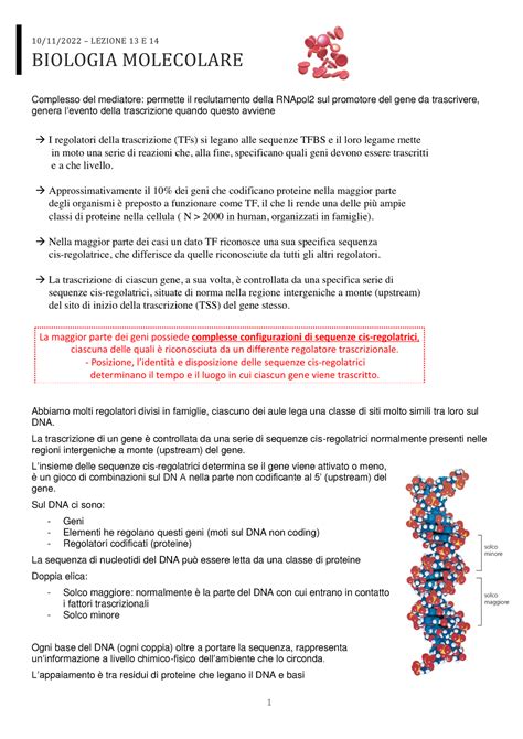 Lezione 13 E 14 Appunti 10 11 2022 LEZIONE 13 E 14 BIOLOGIA