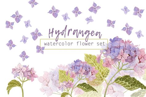 Watercolor Flowers Of Hydrangea Watercolor Flowers Colorful
