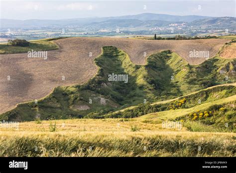 The Curved Shapes Of The Multicolored Hills Of The Crete Senesi Senese