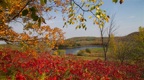 Where To Eat And Drink On Your Minnesota Fall Foliage Tour