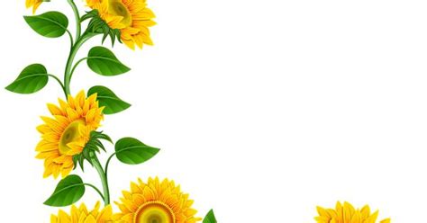We did not find results for: Sunflower Border Decoration PNG Clipart Image | flower ...