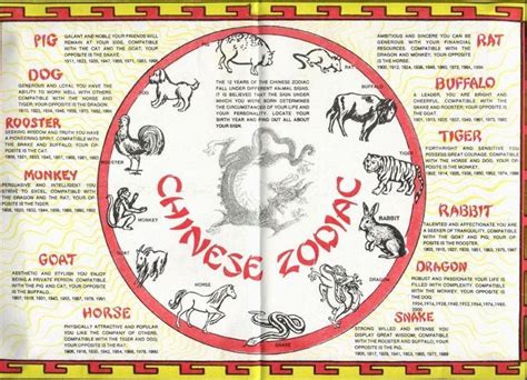 Chinese Zodiac Chinesenumerologyhoroscopes Chinese Numerology