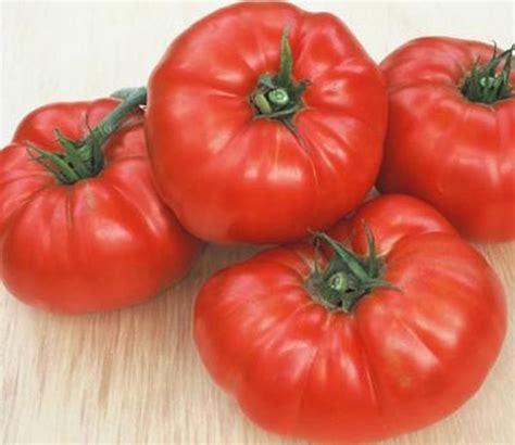 Tomato Beefsteak Seed Kingdom
