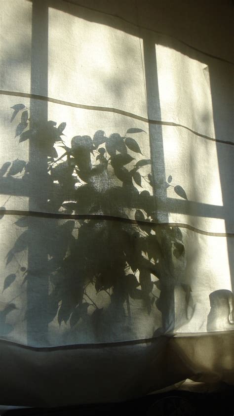 Browse 48,918 light shadow wall stock photos and images available, or start a new search to explore more stock photos and images. Free Images : silhouette, light, plant, white, glass, wall, reflection, shadow, lighting ...