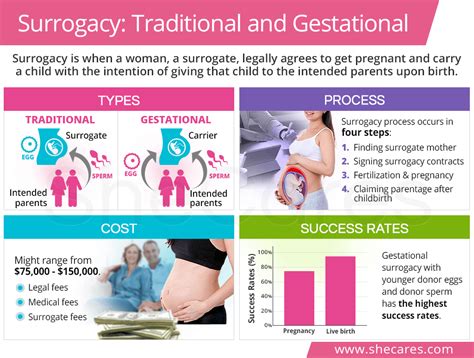 Surrogacy In The Us There Is No Federal Surrogacy Law So Each State