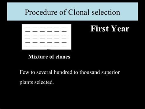 Breeding Method For Clonal Propagation Crops Apomixis And Clonal Sel