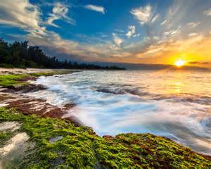 Sunset Over Maui Beach Dawn In Hawaii 4k Ultra Hd Wallpaper For Mobile
