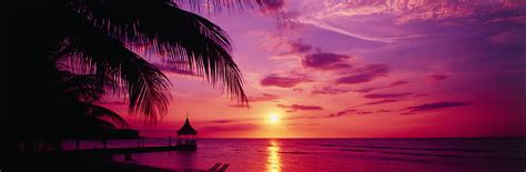 Sunset Palm Trees Beach Water Photograph By Panoramic