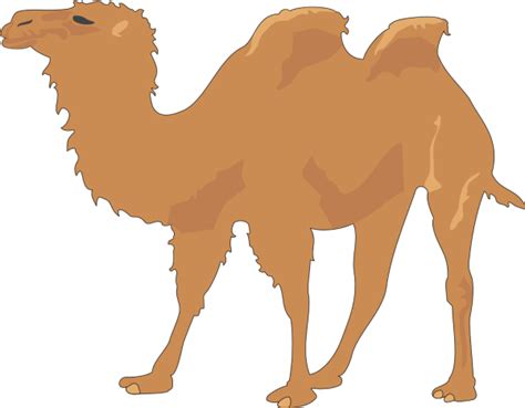 happy hump day funny camel spit card. Camel With Two Humps Png Icons - Happy Hump Day Clipart ...