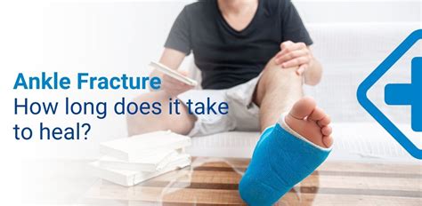 Ankle Fracture How Long Does A Fractured Ankle Take To Healsymptoms