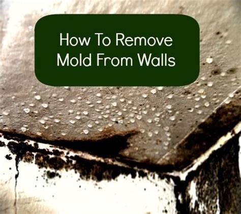 It has all the necessary information regarding how to eliminate this ordeal easily. Pin on How to's and More...