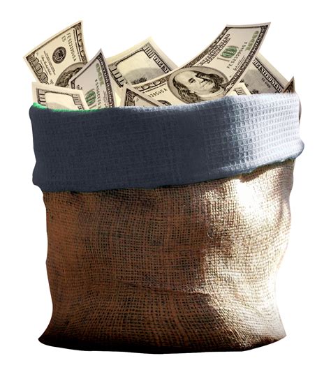 Money Bag PNG Image - PurePNG | Free transparent CC0 PNG Image Library png image