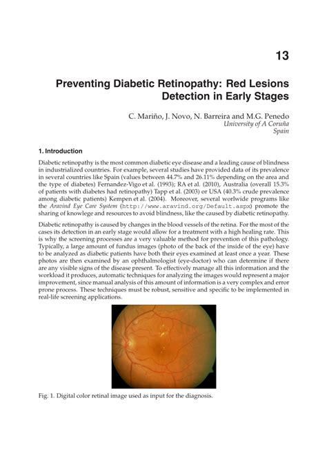 Pdf Preventing Diabetic Retinopathy Red Lesions Detection In Early