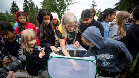 Surrey Elementary School Students Raise Butterflies To Learn About The