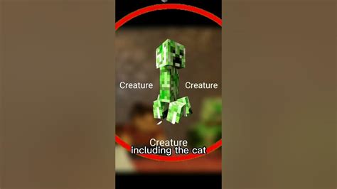 Why Creeper Afraid Of Cat Shorts Minecraft Youtube