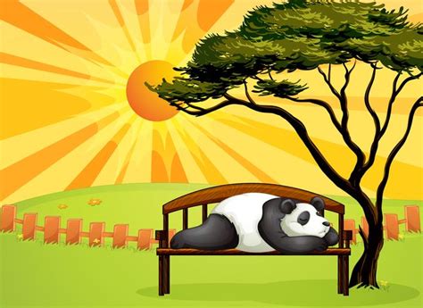 A Bear Sleeping On A Bench Download Free Vectors Clipart Graphics