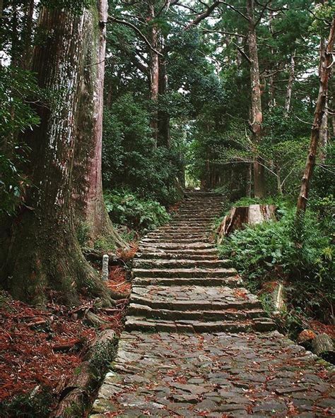 Pin by Khaled alQallaf on Trees and tropical plants | Country roads