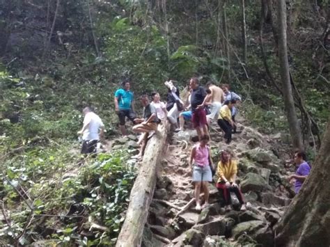 Royal belum telah diwartakan sebagai kawasan dilindungi oleh kerajaan perak pada mei 2017 dan diuruskan perbadanan taman negeri perak. Pakej Hutan Royal Belum - MyAdventureHost