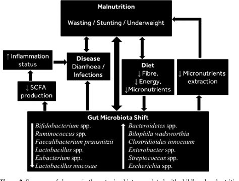 Pdf Malnutrition And Gut Microbiota In Children Semantic Scholar