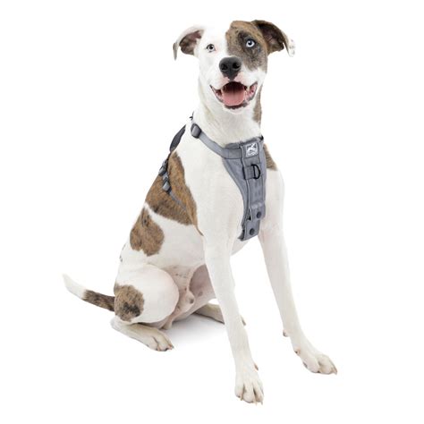 Kurgo Tru Fit Smart Harness Dog Harness Pet Walking Harness Quick