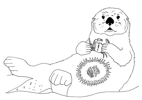 Sea Otter Drawing at GetDrawings | Free download