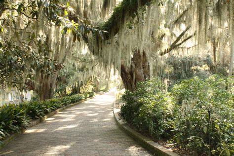 Florida State Park Alfred B Maclay Gardens State Park In Tallahassee Fl