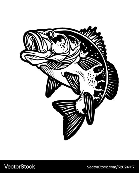 Largemouth Bass Fish Carnivorous Freshwater Vector Image