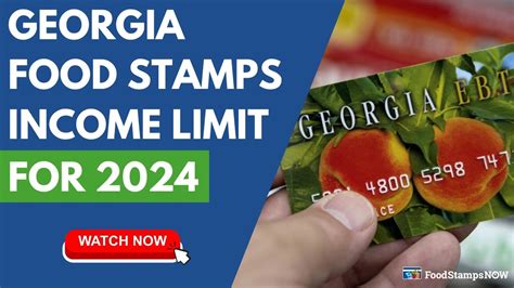 Georgia Food Stamps Income Limits For 2024 Youtube
