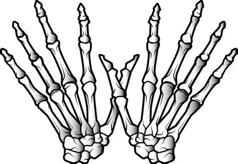 Clip Art Bones Hand Signals Png Skeleton Hands Svg Human Bones Svg Svg