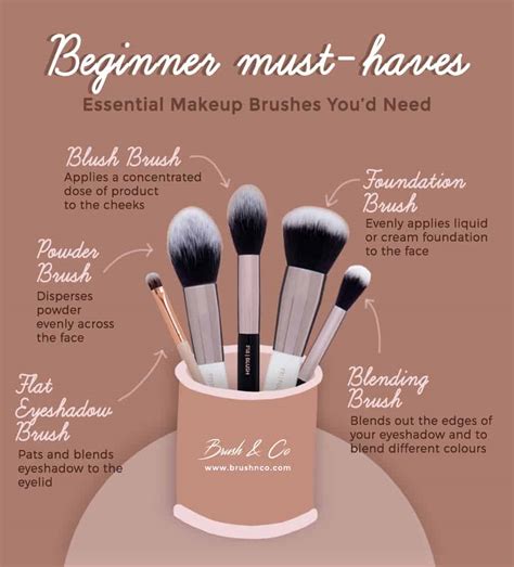 5 Must Have Makeup Brushes For Beginners Brush And Co