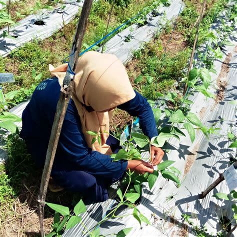 Dwi Suci Lestariana, Wakil Rektor Universitas Boyolali : Yang disebut