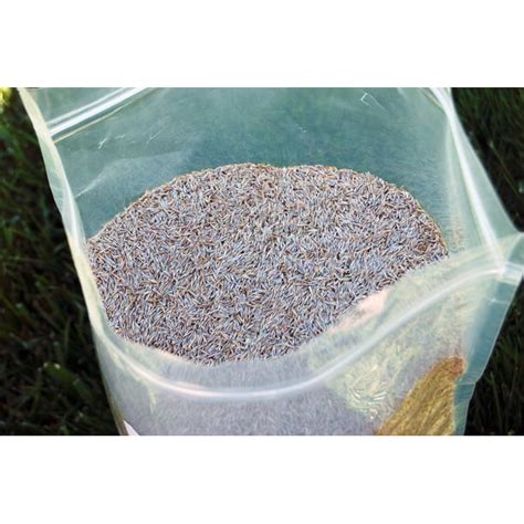 Creeping Red Fescue Seed By Eretz 50lb Choose Size Willamette