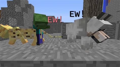 Ragdoll (white and soft amber with blue eyes) 7. What Happens If A Cat And Dog Breed? - Minecraft Machinima ...