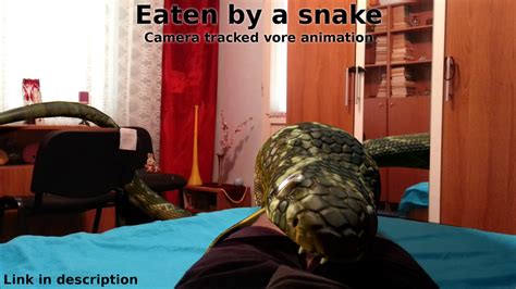Video Eaten By A Snake Camera Tracking Vore By Mirceakitsune On