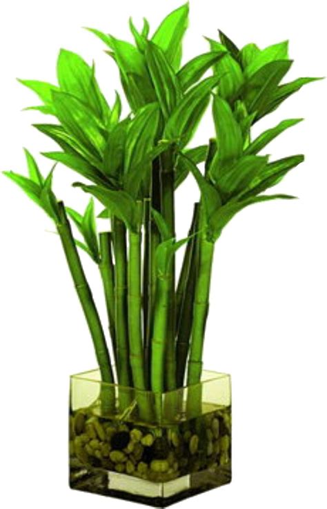 Artificial Plants Artificial Plants Trees Lucky Bamboo