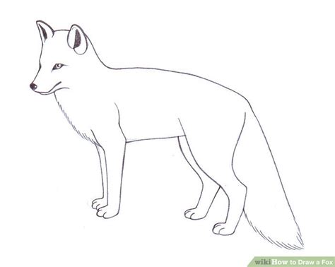 Arctic Fox Sketch At Explore Collection Of Arctic