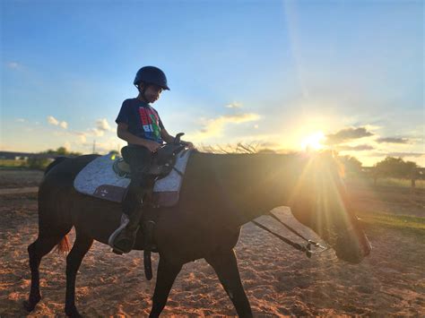 Horseback Riding Lessons For Kids Run Wild My Child