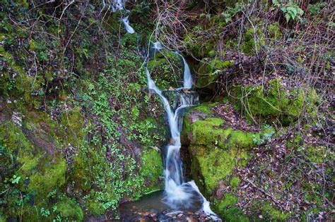 Free Images Landscape Tree Nature Forest Outdoor Waterfall