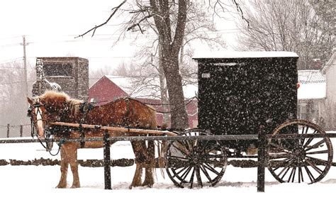 Christmas In Amish Country Holiday Tours