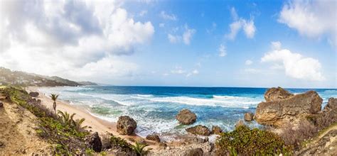 13 top rated beaches in barbados planetware