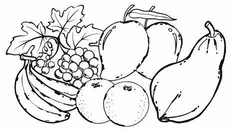 Sketsa Buah Buahan - Homecare24