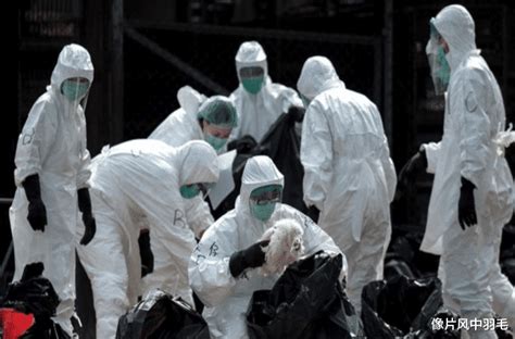 国家(地区) 新增病例 累计确诊 治愈 死亡 疫情. 终于瞒不住了!印度疫情大爆发，印民众高喊中国：请拯救我们!_腾讯新闻