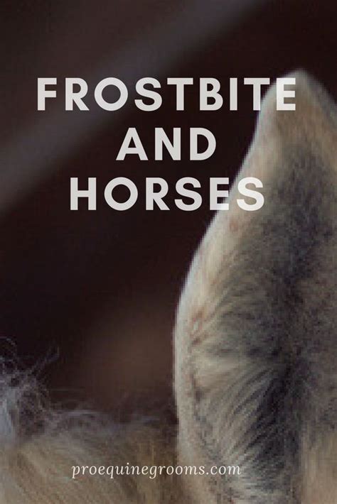 Horses And Frostbite Its Possible Equestrian Outfits Equestrian